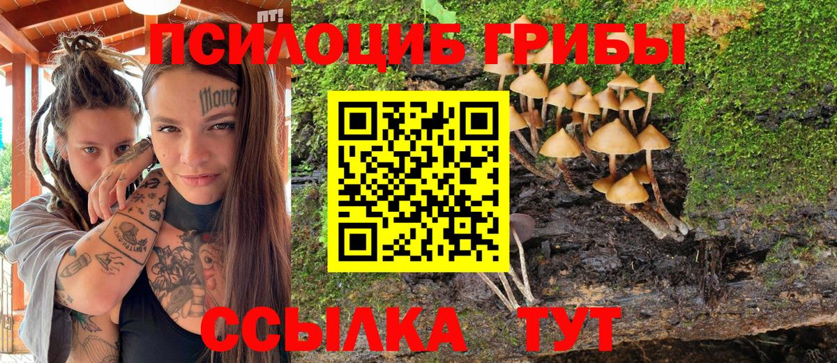 где продают   Псилоцибиновые грибы ЛСД  Мценск  Вход с VPN  Галлюциногенные грибы Psilocybe 