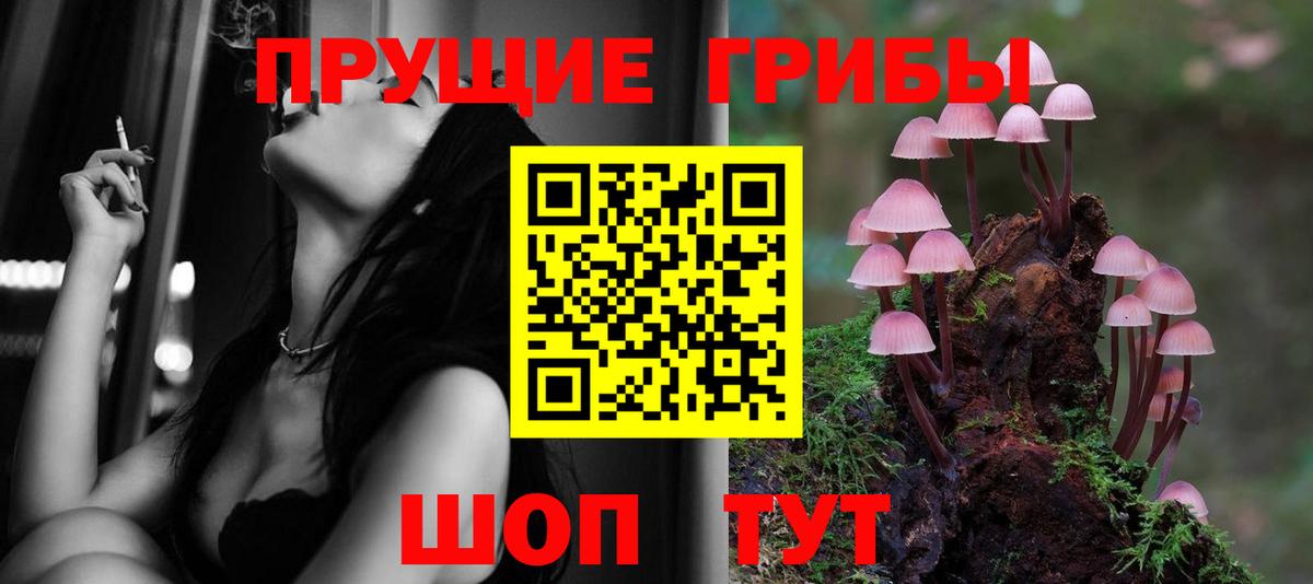 Галлюциногенные грибы Psilocybine cubensis Мценск